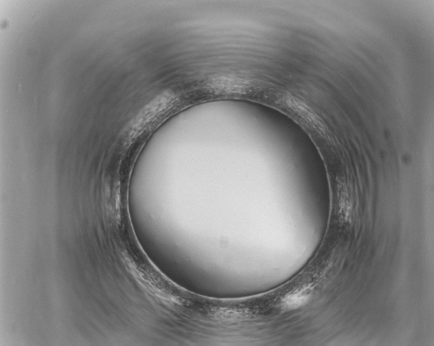 X0000060770494200511141301