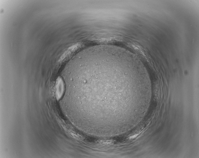 X0000060770495200511141301