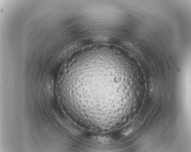 X0000060770498200511141301