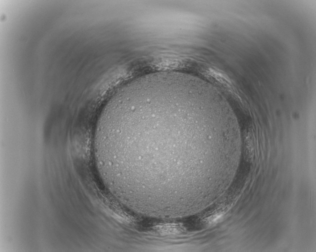 X0000060770499200511141301