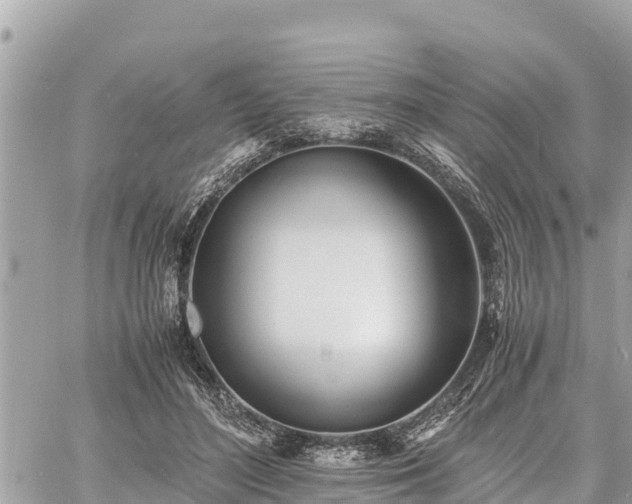 X0000060770500200511141301