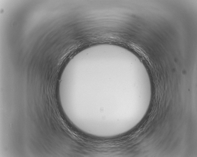 X0000060770501200511141301