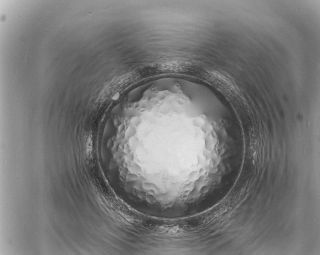 X0000060770502200511141301