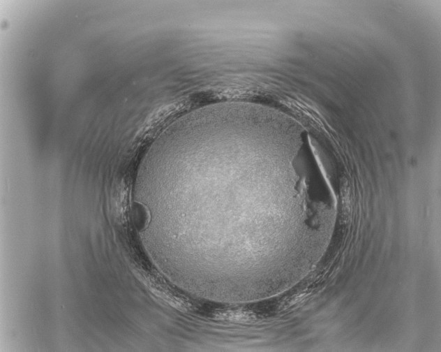 X0000060770503200511141301