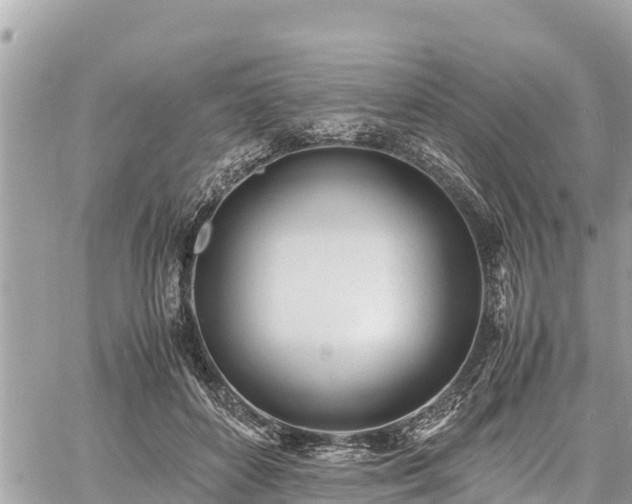 X0000060770504200511141301