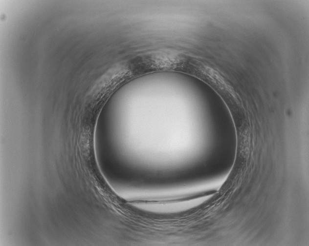 X0000060770505200511141301