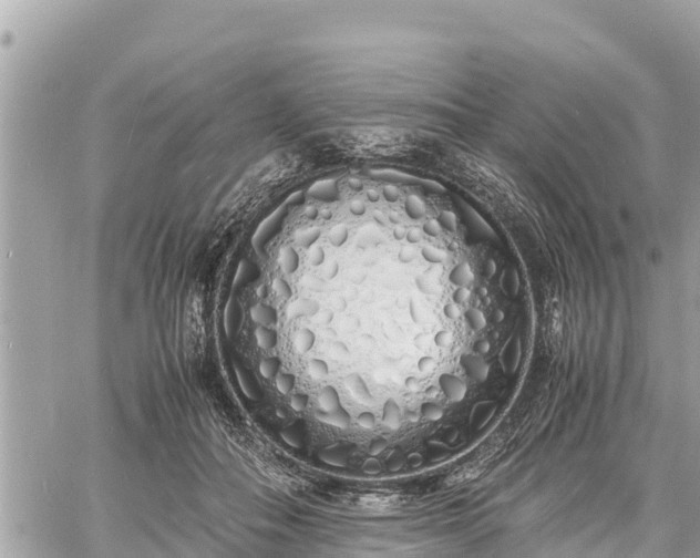 X0000060770506200511141301