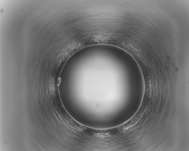 X0000060770508200511141301