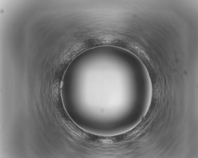 X0000060770509200511141301