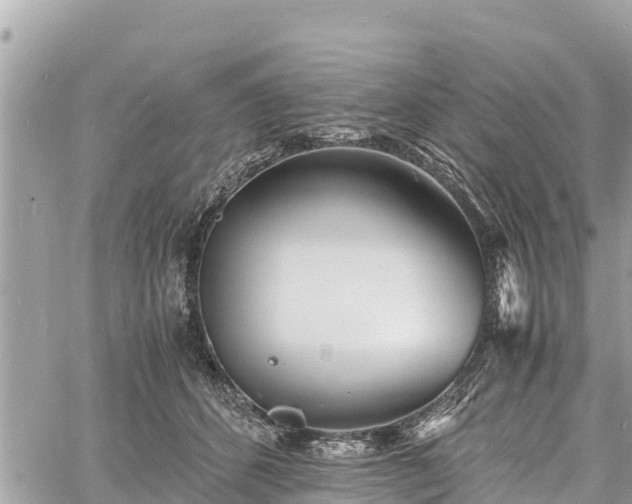 X0000060770512200511141301