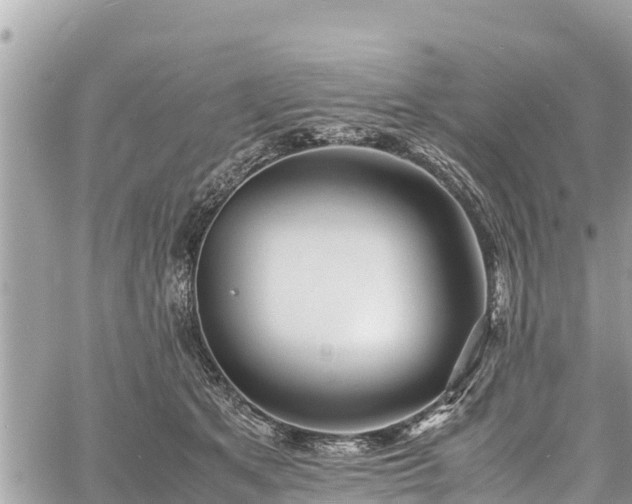 X0000060770513200511141301