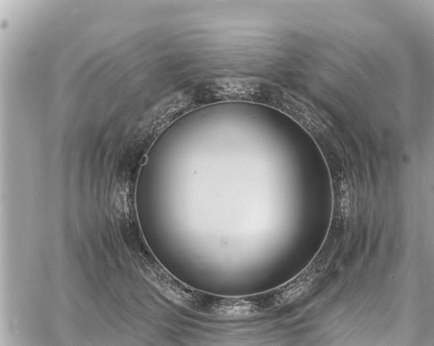 X0000060770514200511141301