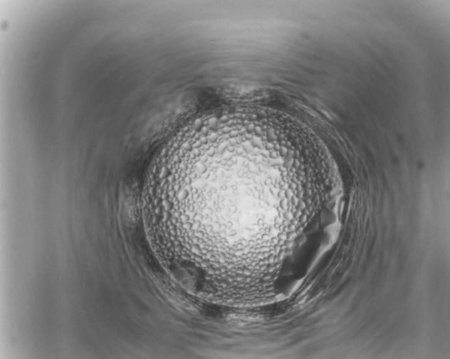 X0000060770515200511141301