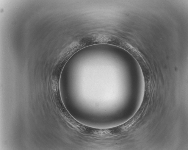 X0000060770517200511141300