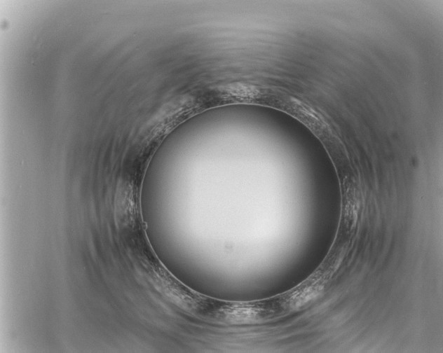 X0000060770518200511141300