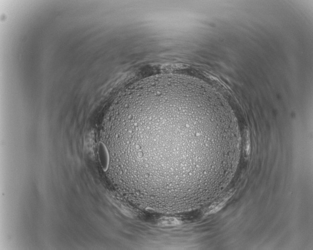 X0000060770519200511141300