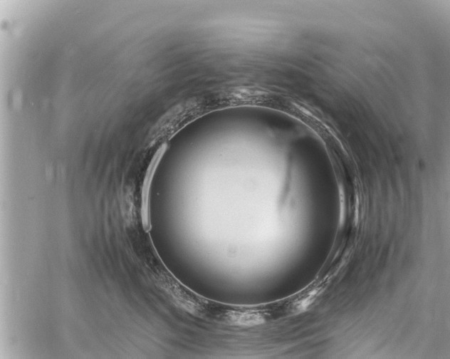 X0000060770520200511141300