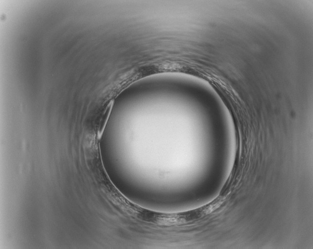 X0000060770521200511141300