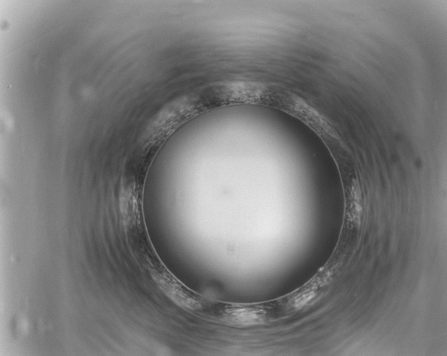 X0000060770522200511141300