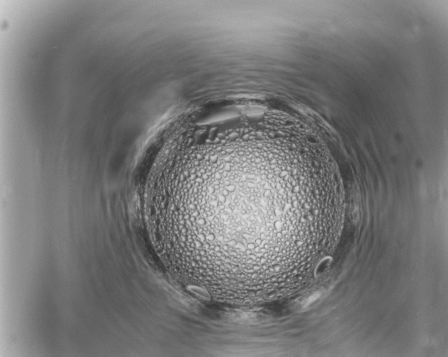 X0000060770523200511141300