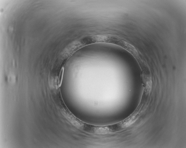 X0000060770525200511141300