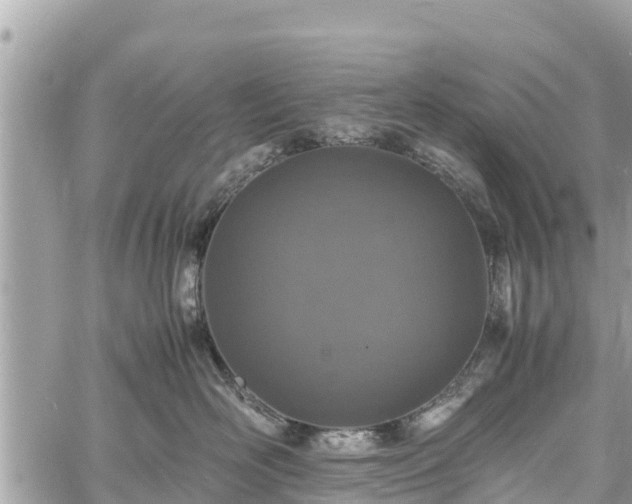 X0000060770526200511141300