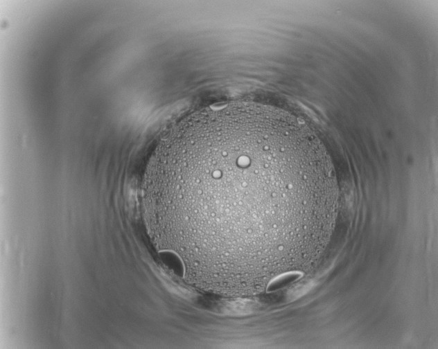 X0000060770527200511141300