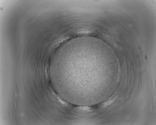 X0000060770528200511141300