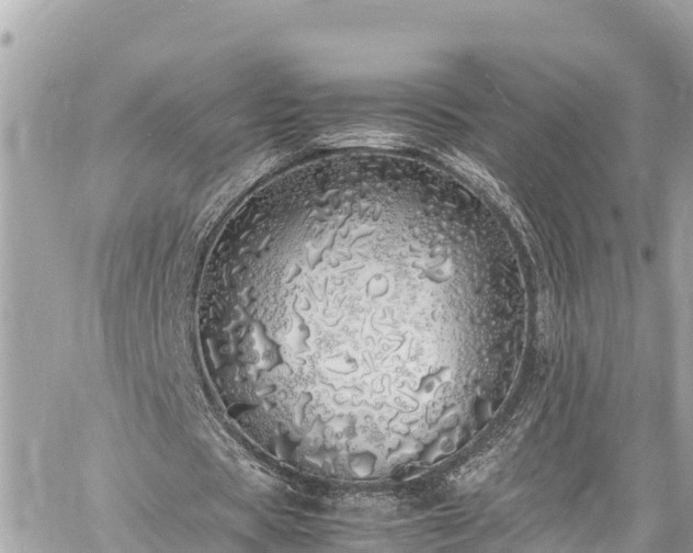 X0000060770529200511141259