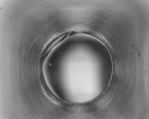 X0000060770530200511141259