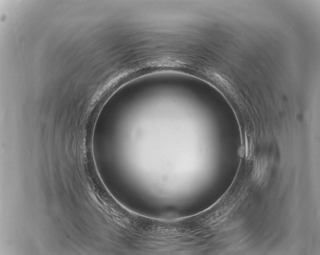 X0000060770531200511141300