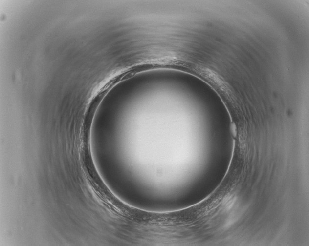 X0000060770532200511141300