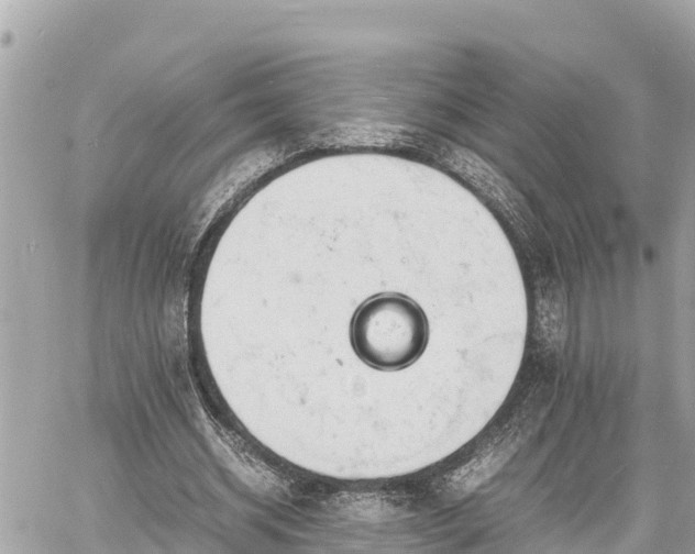 X0000060770534200511141300