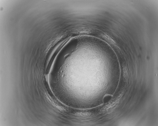 X0000060770537200511141300