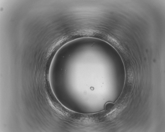 X0000060770538200511141300