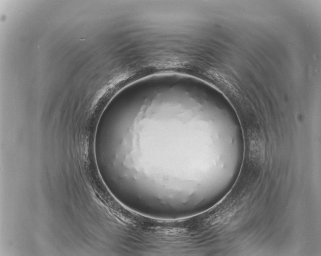 X0000060770539200511141300