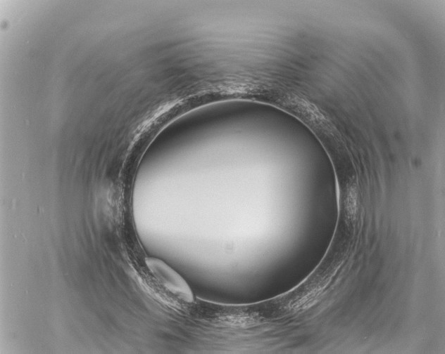 X0000060770540200511141300