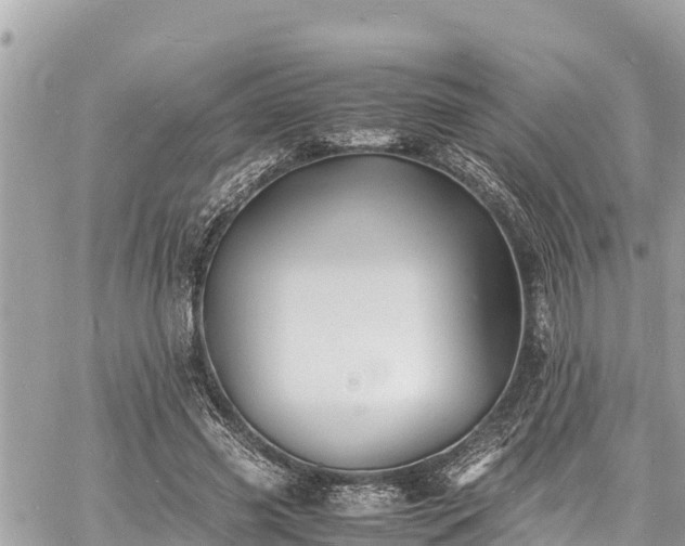 X0000060770541200511141300