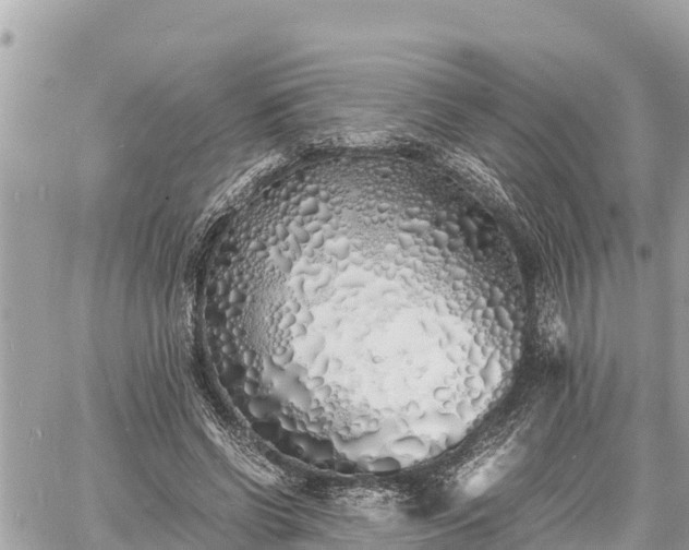 X0000060770542200511141300