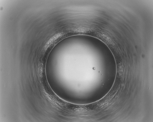 X0000060770544200511141300