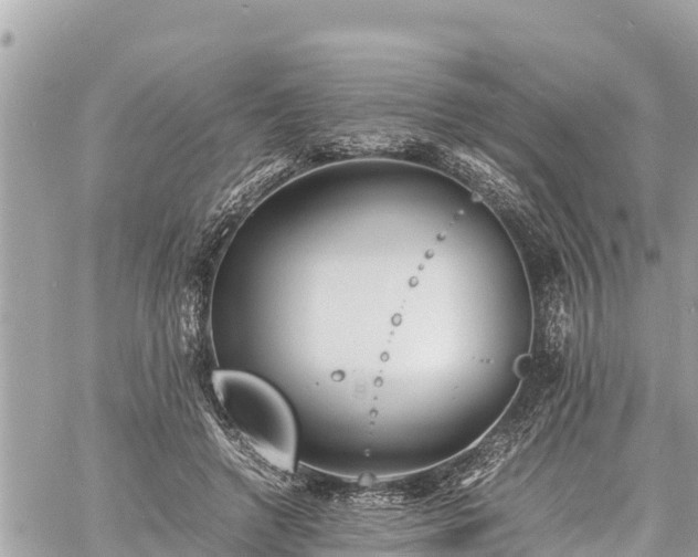 X0000060770546200511141300