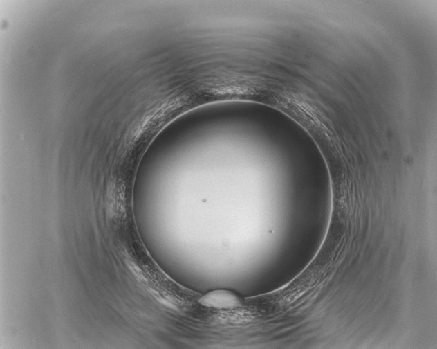 X0000060770547200511141300