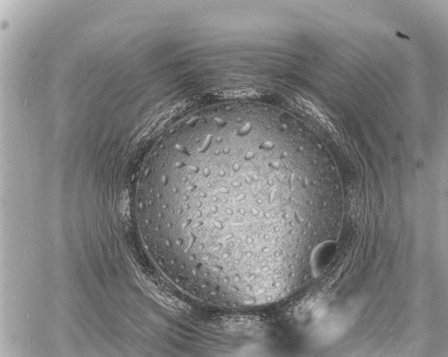 X0000060770549200511141300