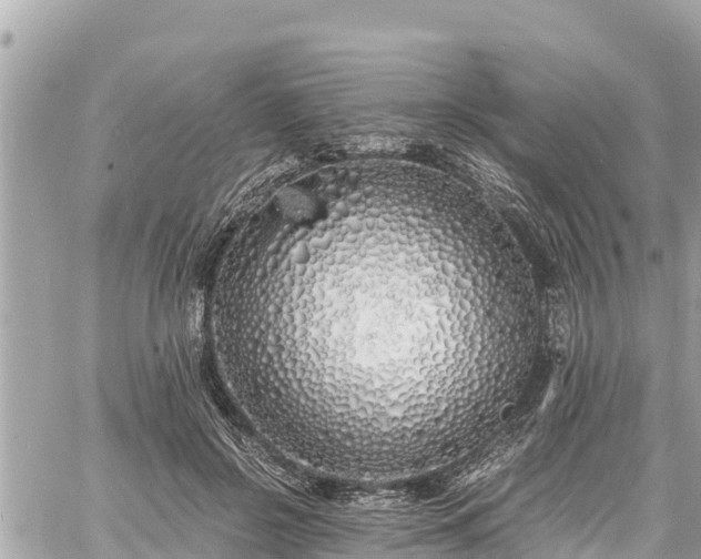 X0000060770550200511141300