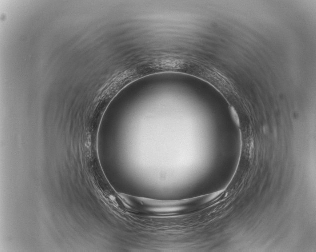 X0000060770552200511141300