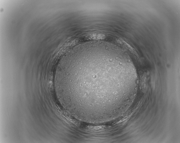 X0000060770553200511141300