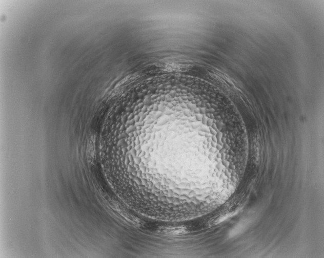 X0000060770554200511141300