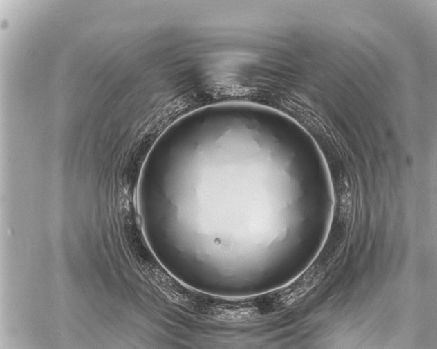 X0000060770555200511141300