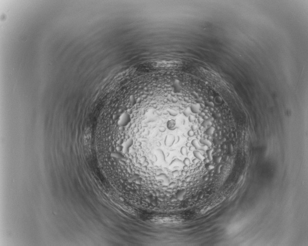 X0000060770557200511141300