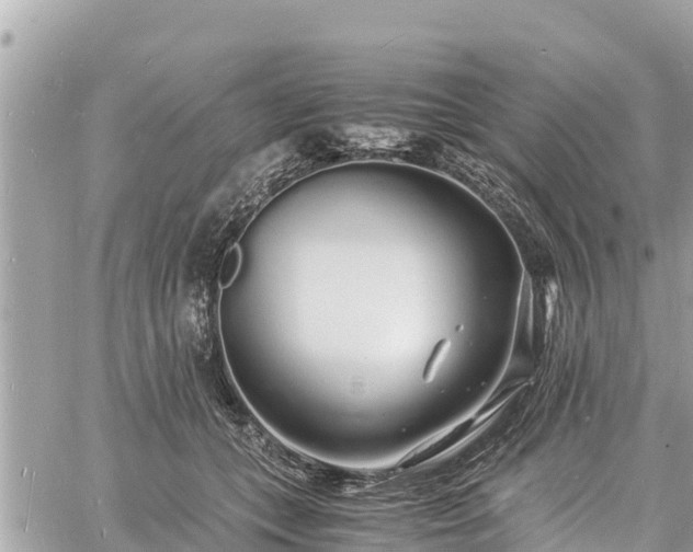 X0000060770559200511141300